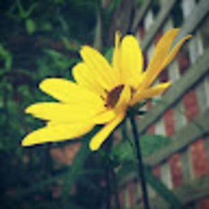 Meet your Posher, Bekah